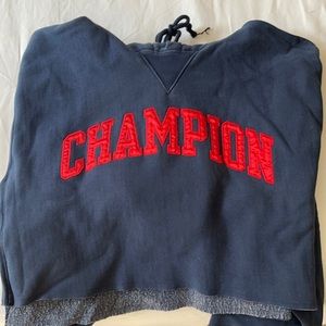 Champion Cropped Hoodie